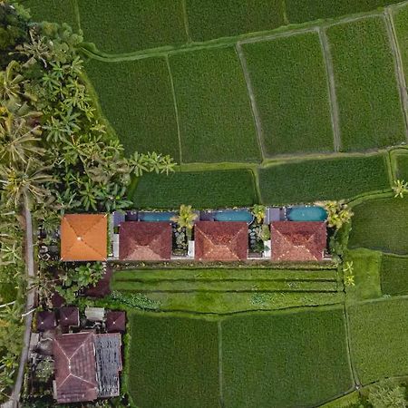 Airsania Ubud Antique Villas 외부 사진