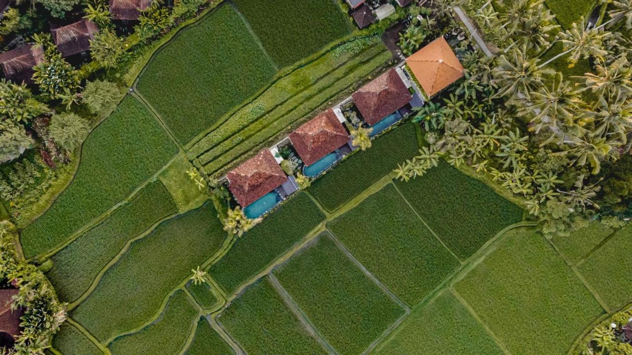 Airsania Ubud Antique Villas 외부 사진