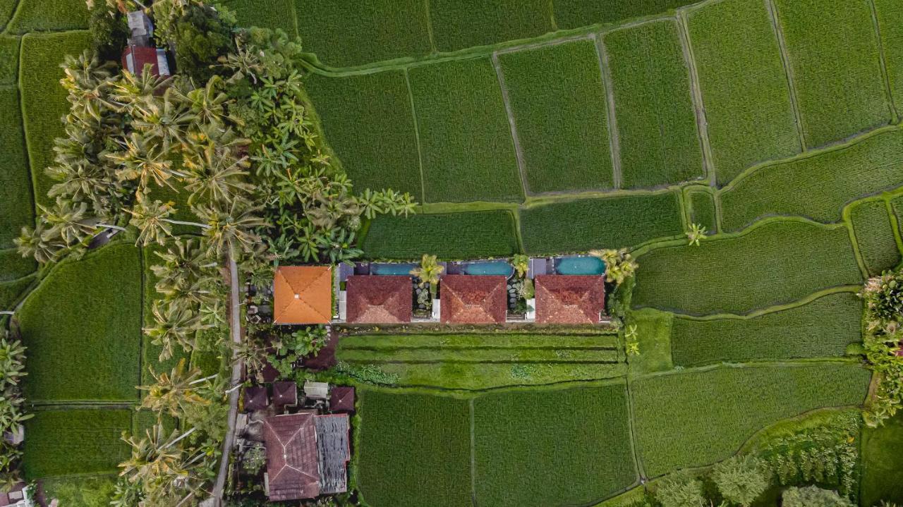 Airsania Ubud Antique Villas 외부 사진
